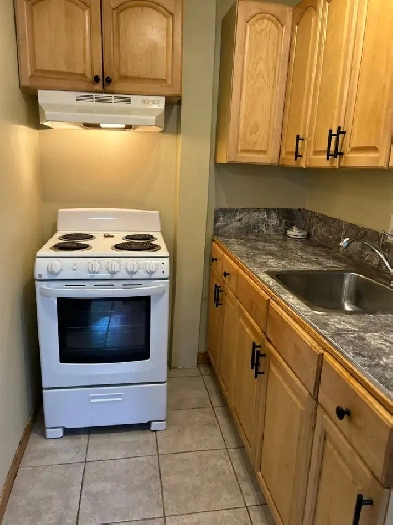 Charmant Appartement 2 1/2 à Louer - Rue Bellechasse 1,100$ Image# 3