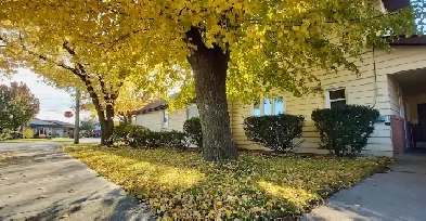 House apt, above ground, Hamilton Mtn, 2 bed,$200 signing bonus! Image# 1