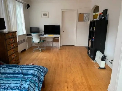 studio Apartment McGill Ghetto Milton Parc Area Image# 4