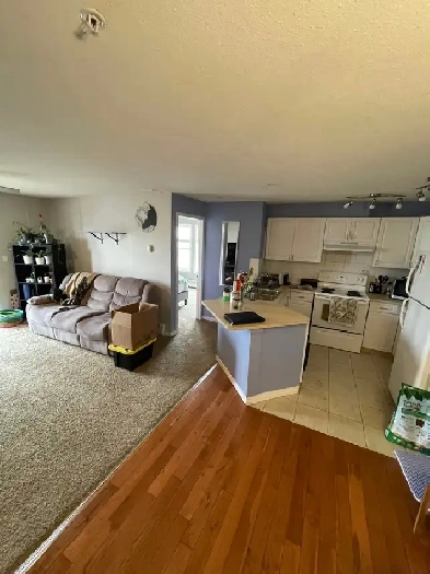 2 bed 2 Bath Condo for rent! Image# 7