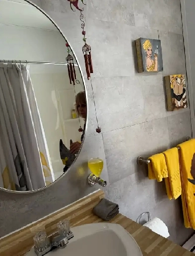 5 1/2 Apartment for rent in Shawinigan Image# 7