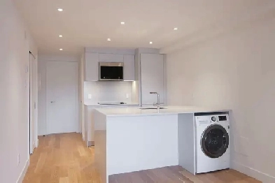 Renovated one bedroom near McGill - ID 3172 Image# 8