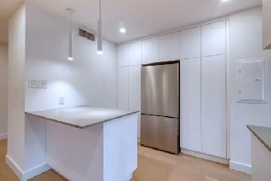 newly renovated one-bedroom near downtown - ID 3808 Image# 2