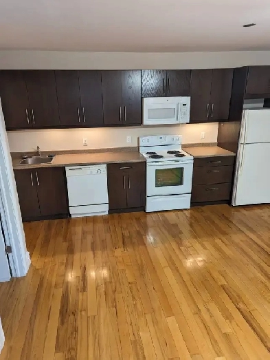 ONE BEDROOM DOWNTOWN WITH  PARKING Image# 4
