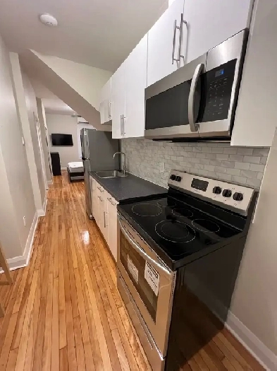 Fully Furnished Studio in Sandy Hill Image# 1
