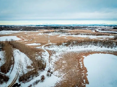 Beautiful Bare 168 Acres  of hay and Pasture SW of Sylvan Lake Image# 3