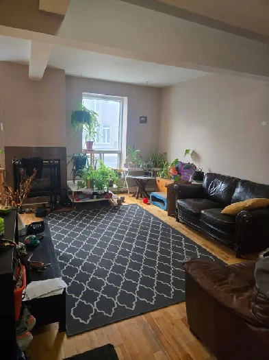 2 BEDROOM BRIGHT CLEAN APARTMENT. WITH DEN AND FIREPLACE IN PLAT Image# 4