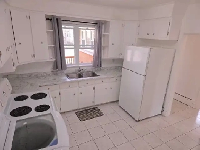 Newly Renovated 2 Bedroom Plus Den Apartment in Vanier/Beechwood Image# 9