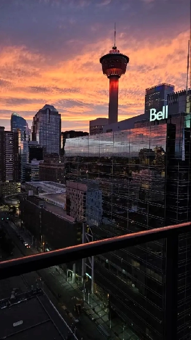 2 bed 2 bath apartment downtown take over lease Image# 1