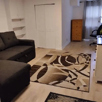 Studio apartment for rent in North York. Image# 8