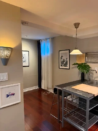 STYLISH JUNIOR 1 BEDROOM BSM APT (400 SQFT)- ANNEX Image# 3