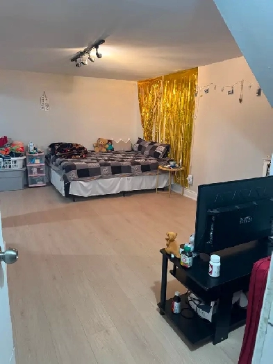 Basement Available in Brampton Near Bramalea City Centre Image# 1