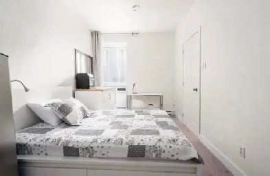 Furnished Studio - Downtown Image# 1