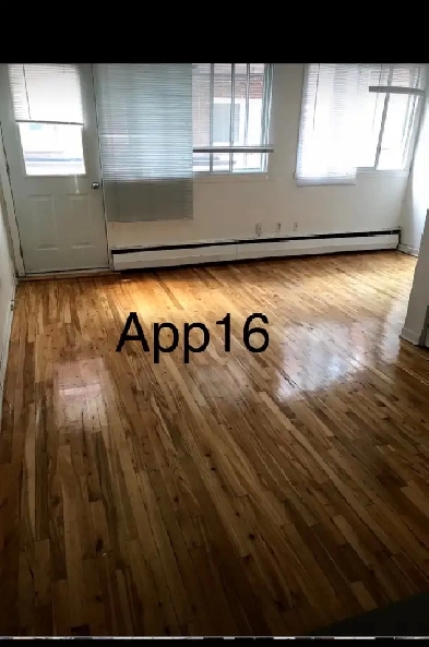 Grande Studio à Ahuntsic pour 1 er juillet Image# 1