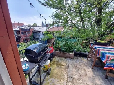 Location chambre Le Plateau- 710 dollars Image# 1