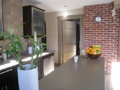 Logement 5 1/2 meublé face au parc - 1er juillet Image# 1