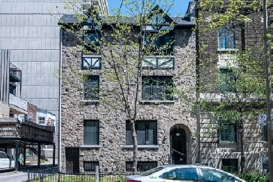 Fully renovated 3 1/2 downtown Metro Atwater July 1st Image# 1