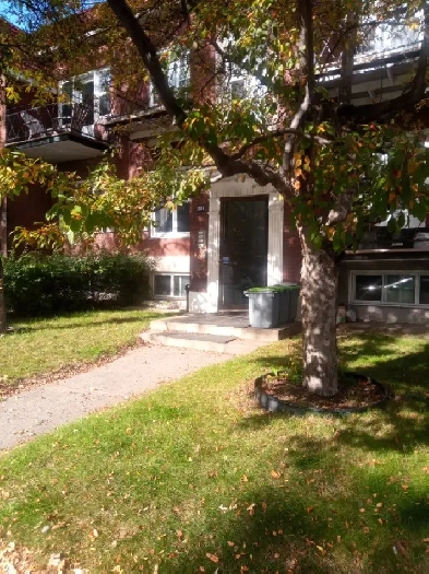 Sunny Room with Balcony in shared home in Rosemont Image# 1
