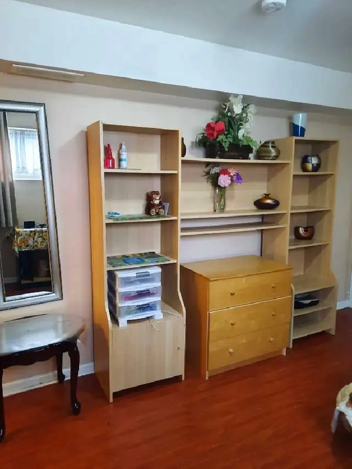 Furnished bachelor basem apartm/private entrance and bathroom in City of Toronto,ON - Short Term Rentals