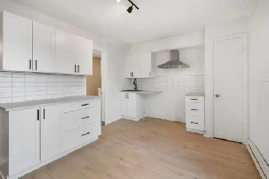 Apartement 3 1/2 renové Nouveau-Rosemont | Renovated Apartment Image# 1