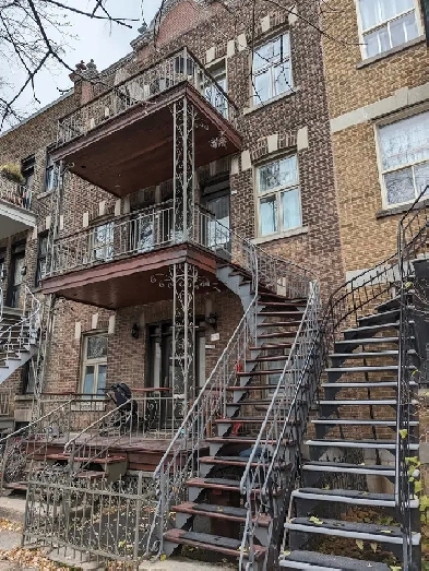 Jolie 3-1/2 sur le Plateau -  à des pas de Métro Laurier Image# 1