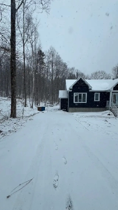 3 et demi à louer Image# 1