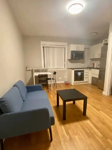 Downtown Studio Sublease - Fully Furnished, Utilities Included! Image# 2
