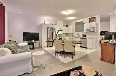 appartement 3 1/2 à louer pour le 1er Mai Image# 1