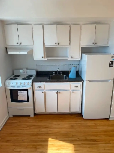 1-1/2 May Westmount: short walk to Metro Vendome, MUHC Hospital Image# 1