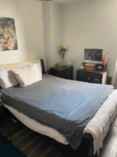 REDUCED Master bedroom-sq1- available now- $1100 Image# 1