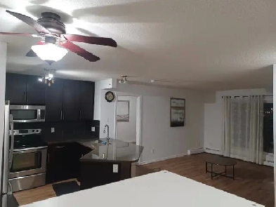 Apartment for Rent, 2 Bed 2 Bath - Excellent Condition Image# 5