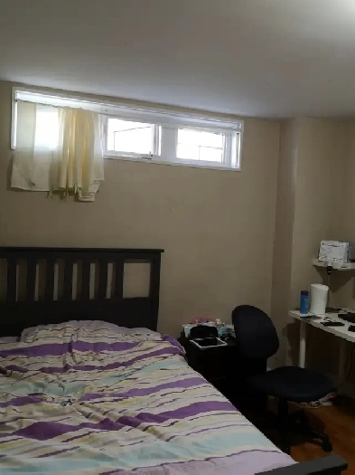 the room for rent near york university campus Image# 5