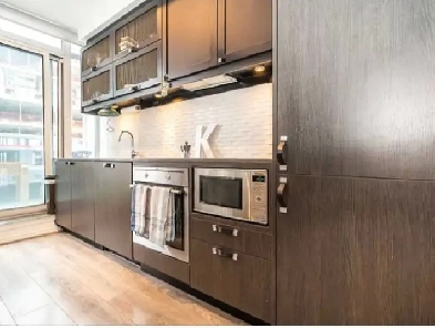 Modern 1 1 Unit w/ Balcony in the Annex Image# 16