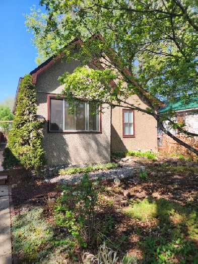 Recently Renoed 3 Bdrm Home with Large Front & Backyrd for  Rent Image# 7