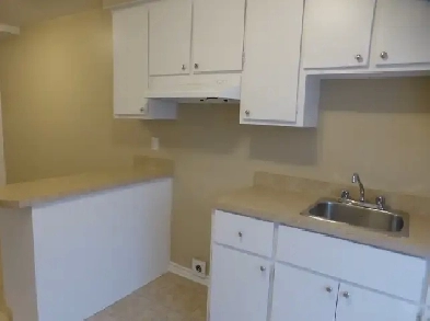 Grand 4 1/2 1er étage Image# 1