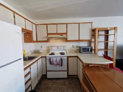 Big 3 1/2 furnished apartment for rent Image# 1