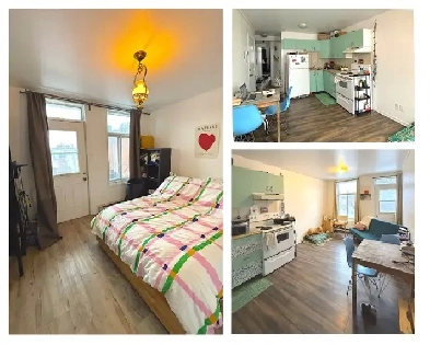 3.5, 1BD Furnished for rent in Plateau in July Image# 6