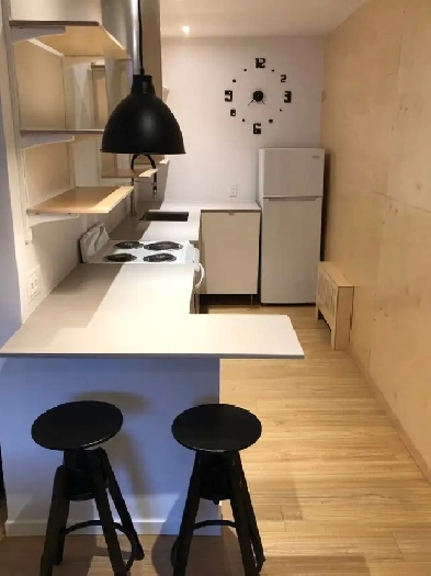 Superbe Studio Meublé au Cœur du Plateau Métro Laurier, Mai Image# 9
