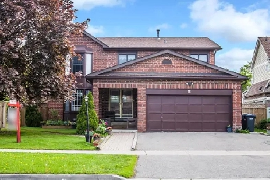 2 Bed Room Basement for Rent in Brampton Image# 1