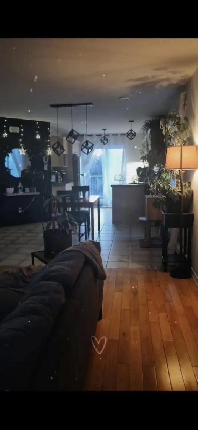 1/2  avec pièce de4 lavage ,endroit tranquille, 1450 par mois Image# 1