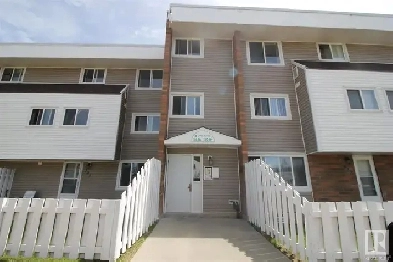 Large 2bdr cozy apartment right by Rundle Park! Image# 2