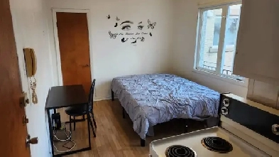 Short term   1 1/2 apt. for April Metro Prefontaine Image# 1