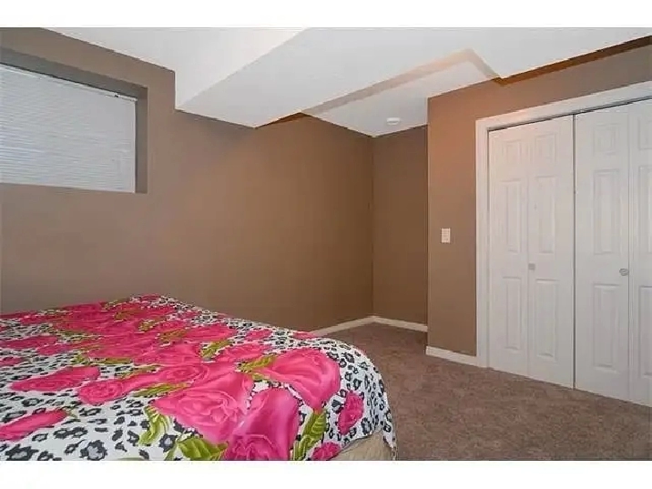 1 Bed Basement in Calgary,AB - Apartments & Condos for Rent
