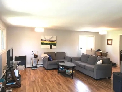 June 1, BRIGHT 2 BDRMS, RENOVATED 6 APPLIANCES, PET OK, WEST END Image# 3