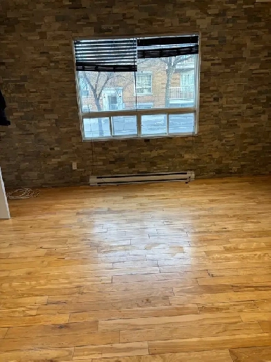 Grand lumineux 4 1/2 facz u parc Beaubien à Rosemont Image# 1