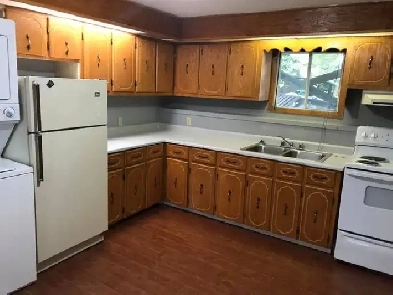 Two Bed room Apartment on Elizabeth street Image# 3
