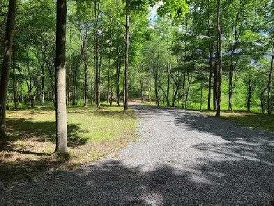 Exceptional Building Lot - Cottage Country North of Kingston Image# 1