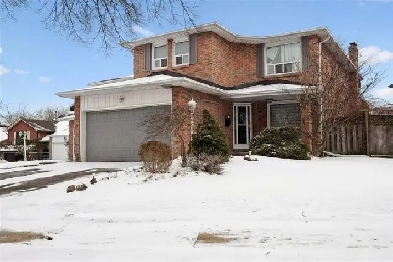 Beautiful Renovated 3 Bedroom For Rent in Scarborough Image# 4