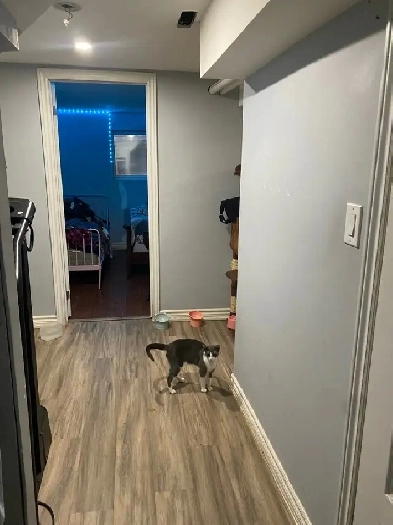 room for rent Image# 1