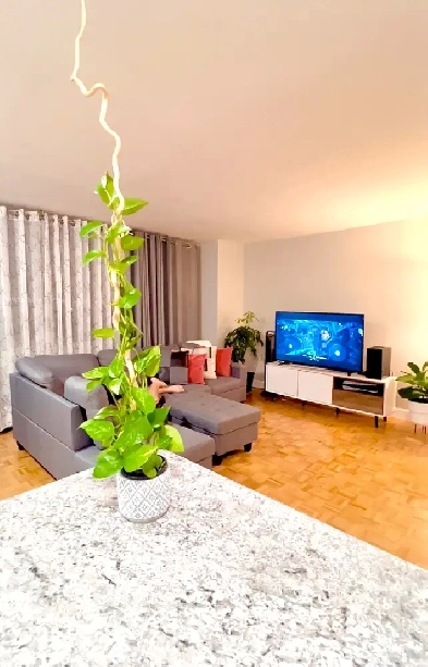 1 private room in a 3 br apartment Image# 1